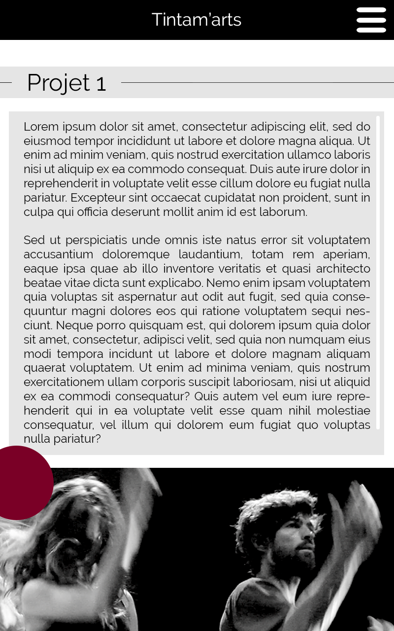 tintam arts accueil site